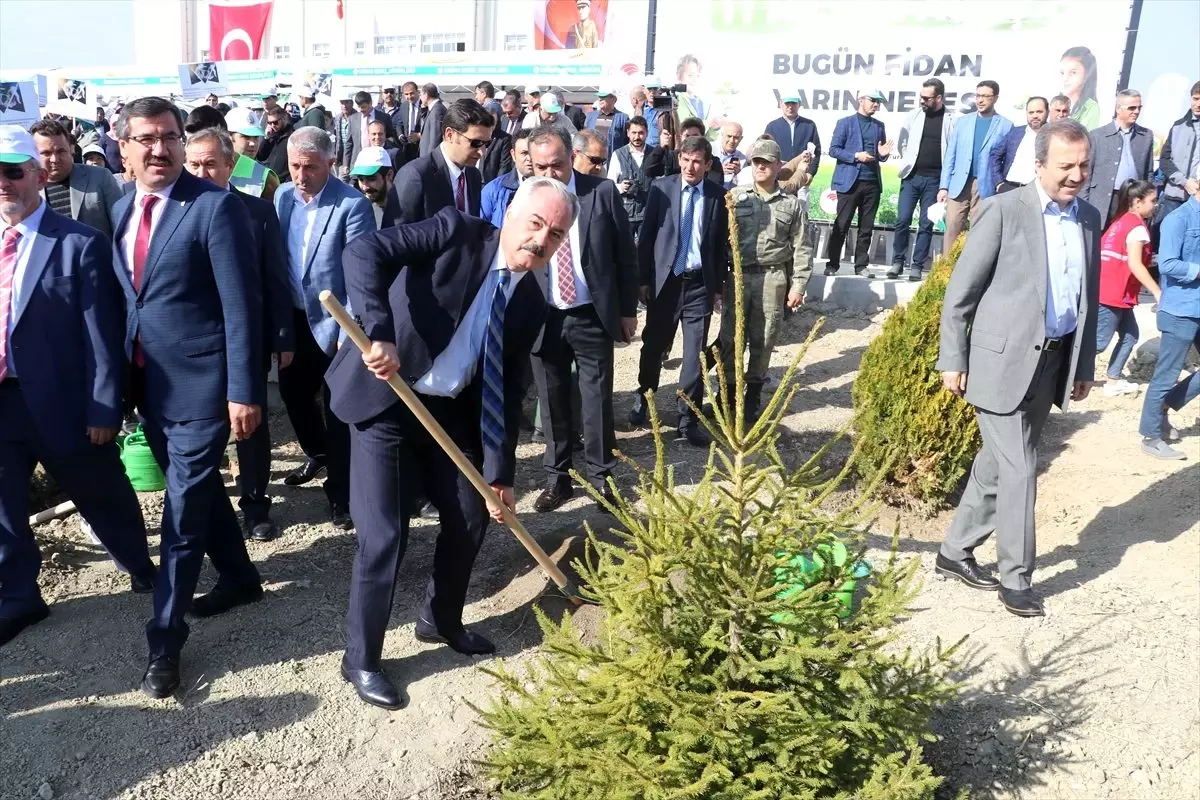 '11 Milyon Ağaç; Bugün Fidan, Yarın Nefes' programı