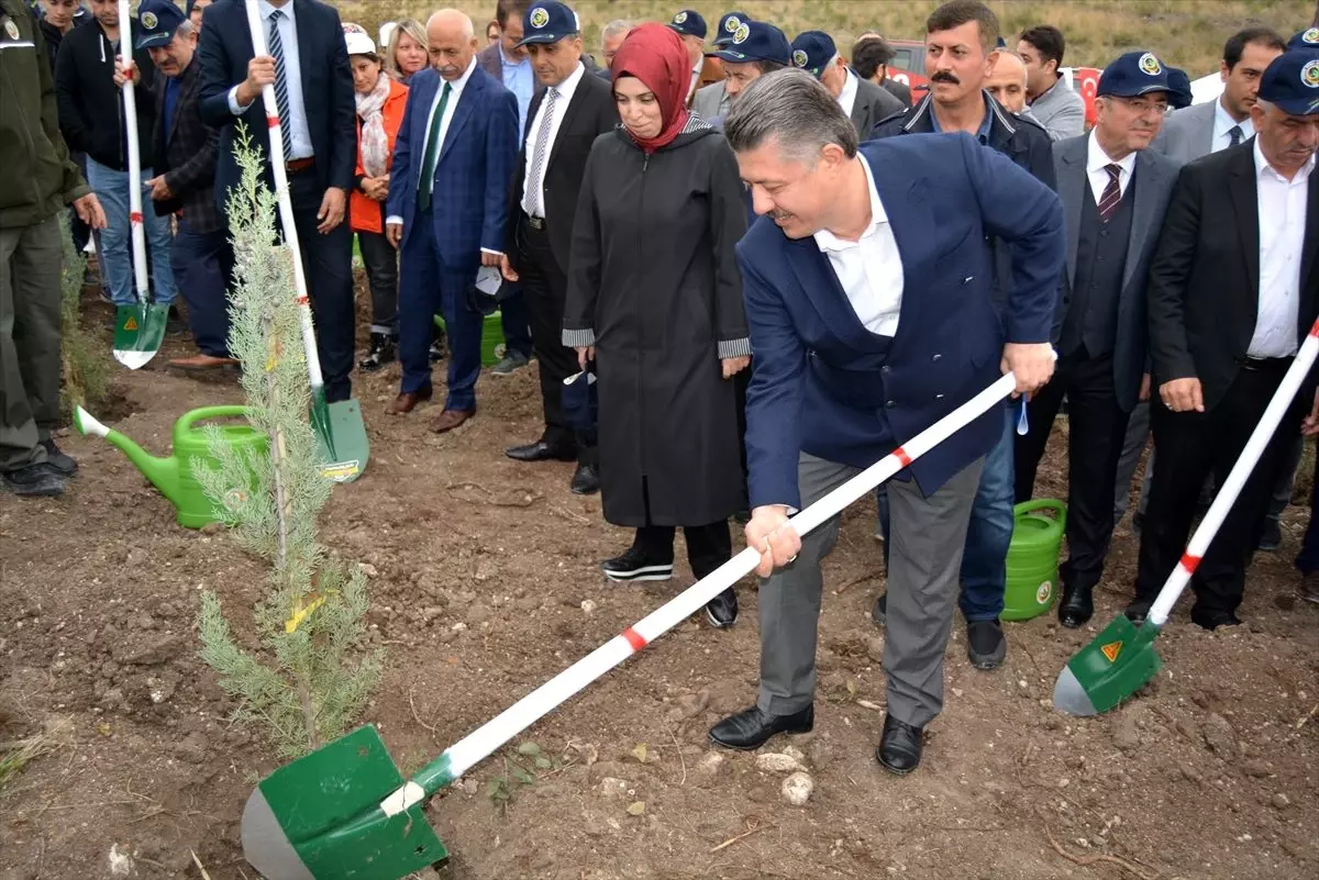 '11 Milyon Ağaç; Bugün Fidan, Yarın Nefes' programı