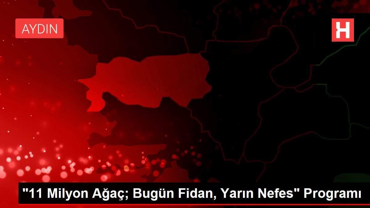 Alper Arikan Haberleri Alper Arikan Kimdir Haberler