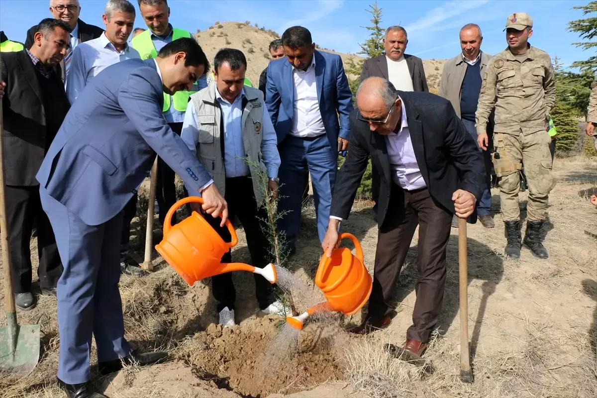 '11 Milyon Ağaç; Bugün Fidan, Yarın Nefes' Programı