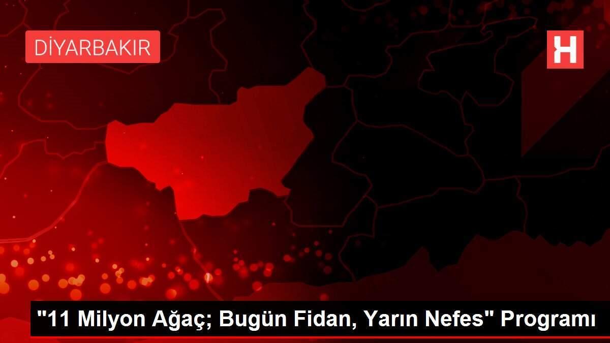 '11 Milyon Ağaç; Bugün Fidan, Yarın Nefes' Programı