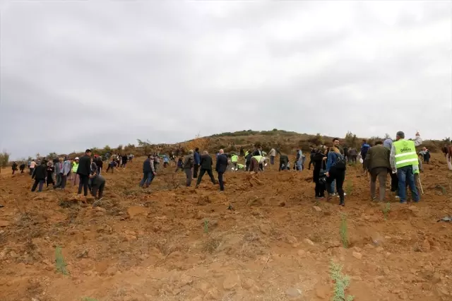 '11 Milyon Ağaç; Bugün Fidan, Yarın Nefes' programı '11 Milyon Ağaç; Bugün Fidan, Yarın Nefes' programı