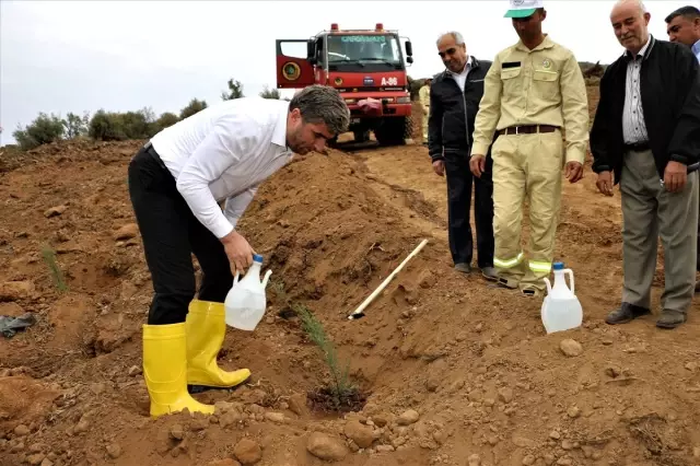 '11 Milyon Ağaç; Bugün Fidan, Yarın Nefes' programı '11 Milyon Ağaç; Bugün Fidan, Yarın Nefes' programı
