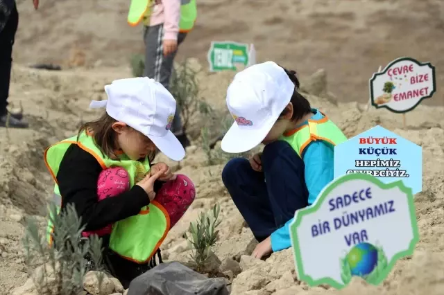 '11 Milyon Ağaç; Bugün Fidan, Yarın Nefes' programı '11 Milyon Ağaç; Bugün Fidan, Yarın Nefes' programı