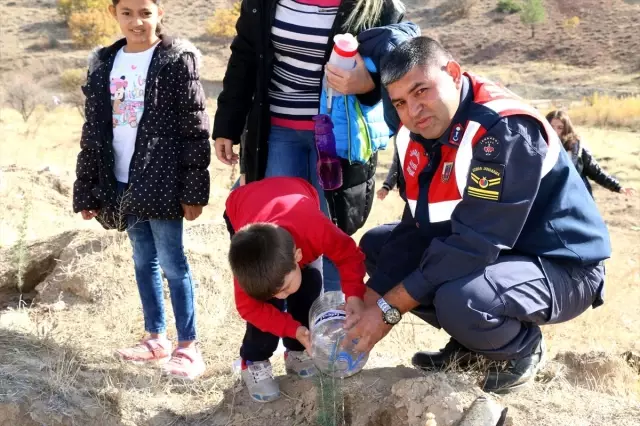 '11 Milyon Ağaç; Bugün Fidan, Yarın Nefes' Programı '11 Milyon Ağaç; Bugün Fidan, Yarın Nefes' Programı