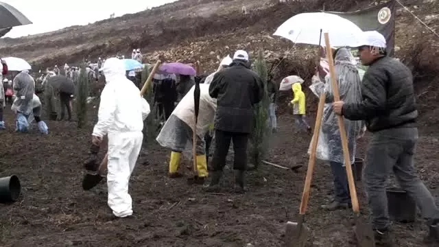 '11 Milyon Ağaç; Bugün Fidan, Yarın Nefes' programı '11 Milyon Ağaç; Bugün Fidan, Yarın Nefes' programı