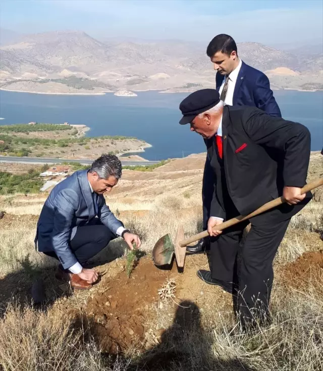 '11 Milyon Ağaç; Bugün Fidan, Yarın Nefes' Programı '11 Milyon Ağaç; Bugün Fidan, Yarın Nefes' Programı