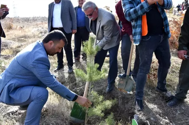 '11 Milyon Ağaç; Bugün Fidan, Yarın Nefes' Programı '11 Milyon Ağaç; Bugün Fidan, Yarın Nefes' Programı