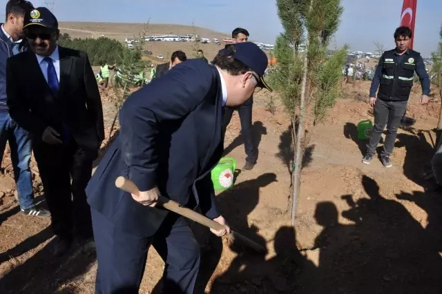 11 Milyon Fidan Nehir Zulal Ile Birlikte Buyuyecek Afyon
