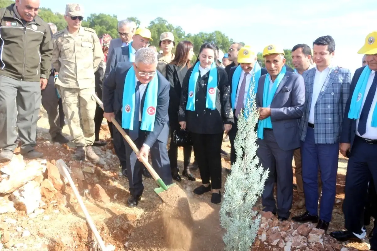 Adıyaman'da, 175 bin fidan toprakla buluştu