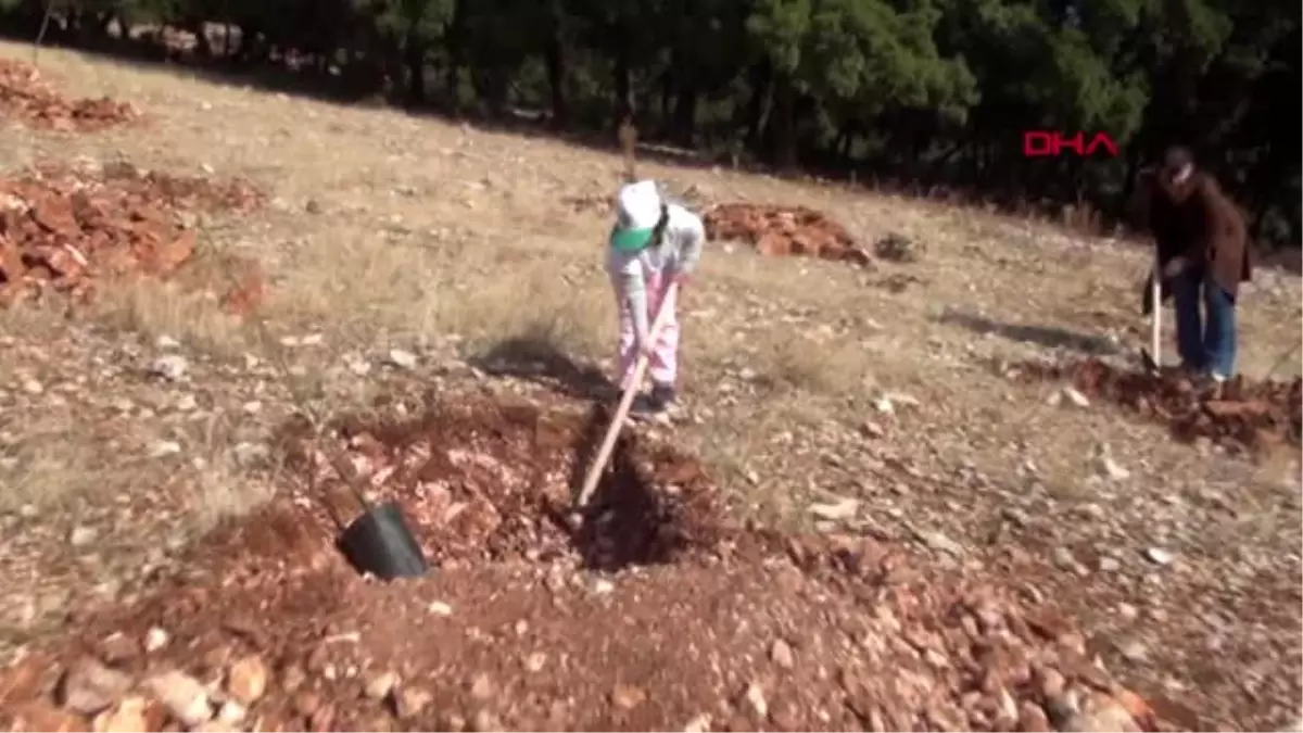 Adıyaman genelinde 175 bin fidan dikimi yapıldı