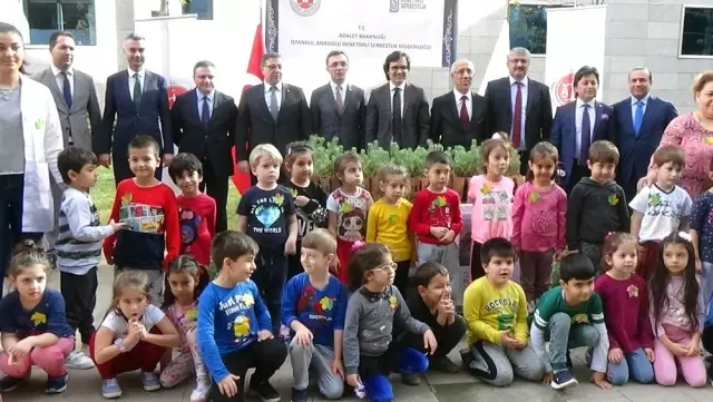 Anadolu Adalet Sarayı'nda 500 fidan toprakla buluştu Anadolu Adalet Sarayı'nda 500 fidan toprakla buluştu