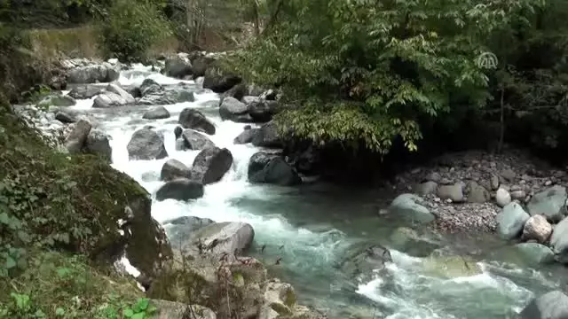 Artvin'in saklı güzellikleri 'Göğe Komşu Rotalar' projesiyle tanıtılacak Artvin'in saklı güzellikleri 'Göğe Komşu Rotalar' projesiyle tanıtılacak