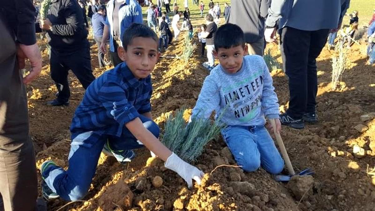 Bilecik'e lavanta bahçesi oluşturuldu