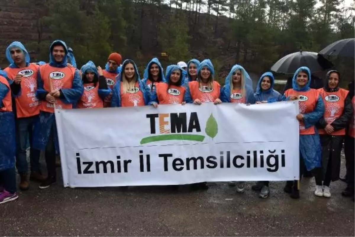 Binlerce İzmirli yağmur altında yanan ormanlık alanlara fidan dikti
