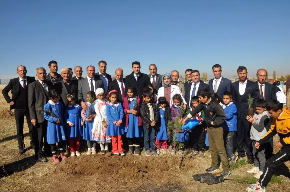 Bulanık'ta fidan dikimi