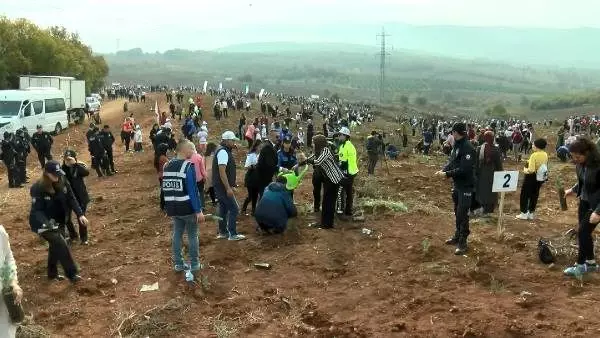 Bursa'da 300 bin fidan toprakla buluşturuldu Bursa'da 300 bin fidan toprakla buluşturuldu