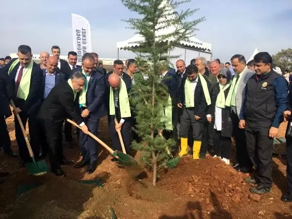 Bursa'da 300 bin fidan toprakla buluşturuldu Bursa'da 300 bin fidan toprakla buluşturuldu