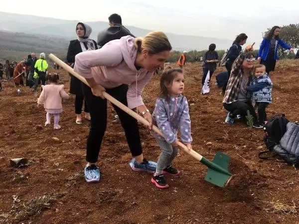 Bursa'da 300 bin fidan toprakla buluşturuldu Bursa'da 300 bin fidan toprakla buluşturuldu