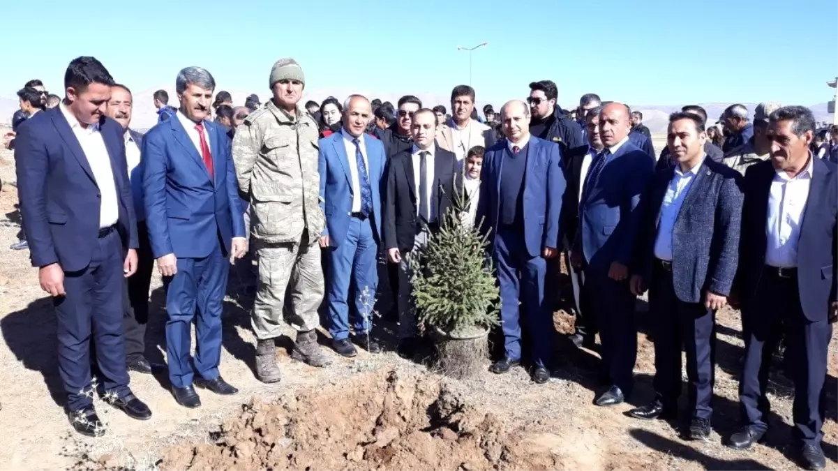 Caldiran Da 4 Bin 500 Fidan Dikildi Haberler
