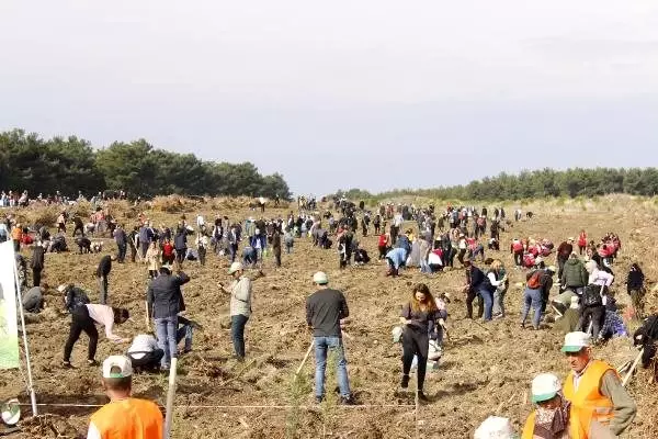 Çanakkale'de 205 bin fidan toprakla buluşturuldu