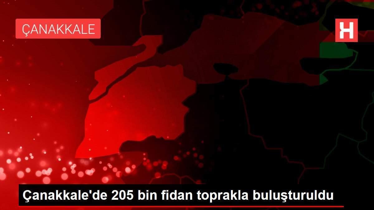 Çanakkale'de 205 bin fidan toprakla buluşturuldu
