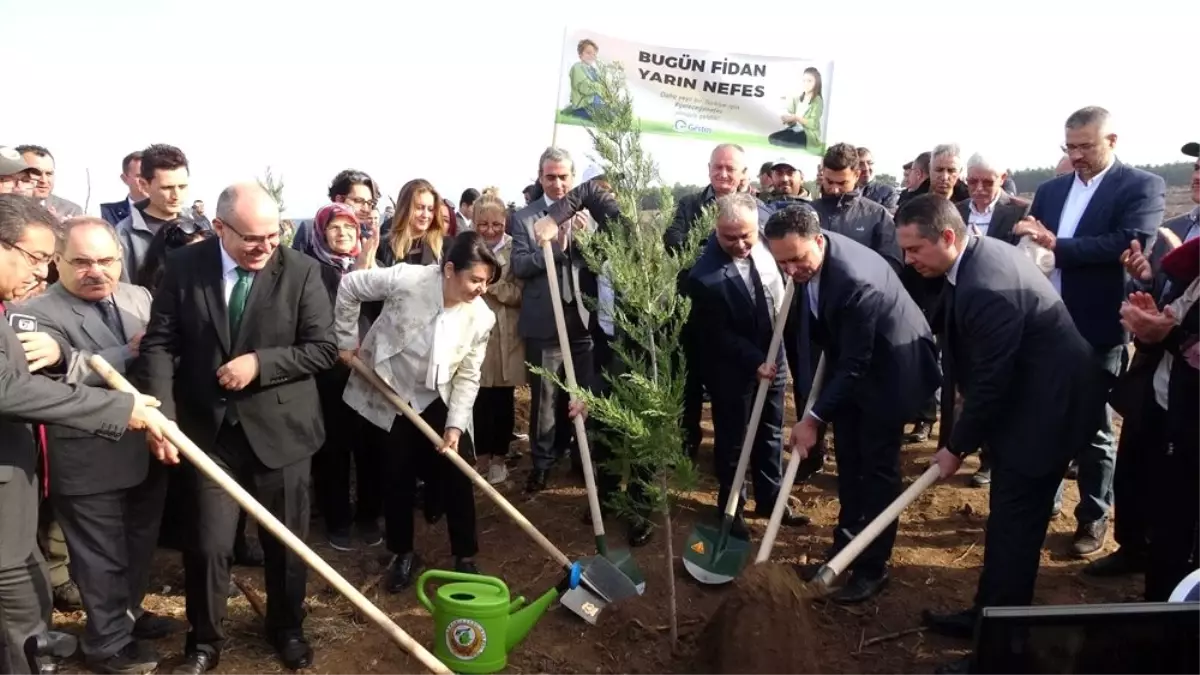Çanakkale'de 41 ayrı noktada 205 bin fidan toprakla buluştu