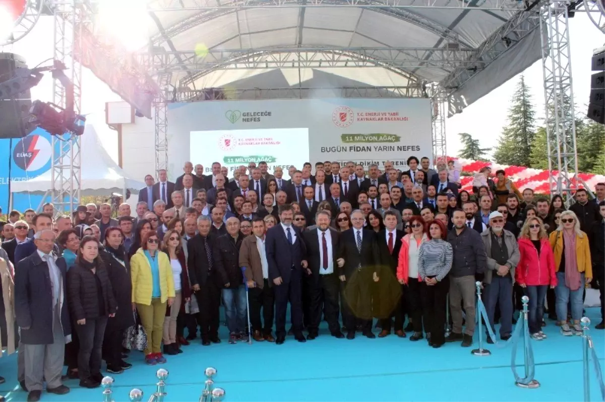 Çayırhanda Ağaç Dikim Programı düzenlendi