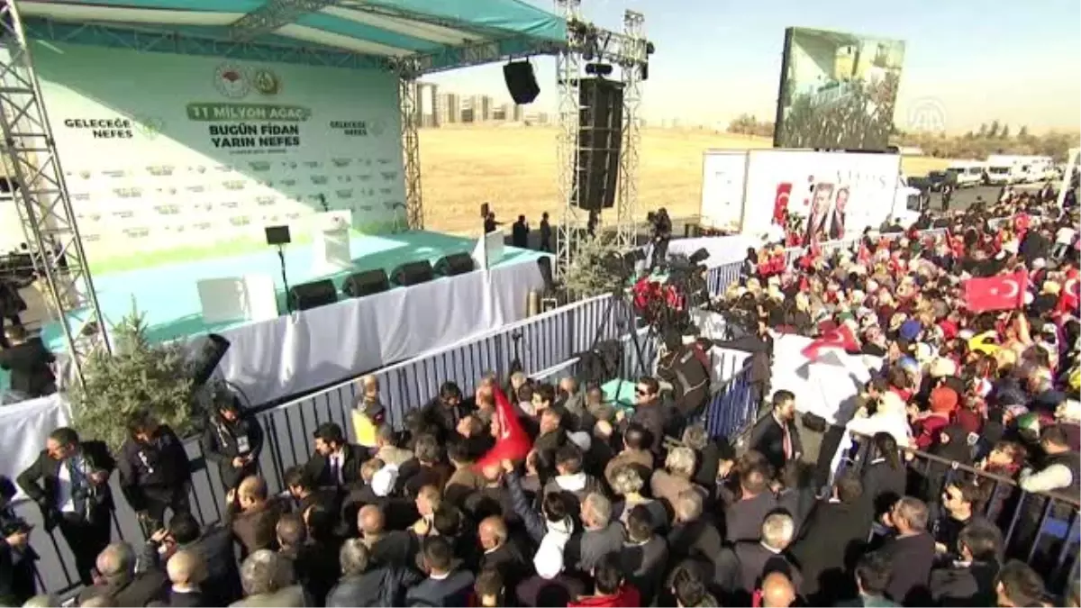 Cumhurbaşkanı Erdoğan, fidan dikti