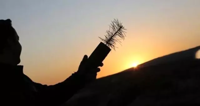 Cumhurbaşkanı Erdoğan'ın çağrısıyla kırılacak ağaç dikme rekoru için geri sayım