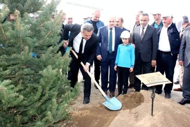 Düzce'de 61 noktada 40 bin fidan dikildi Düzce'de 61 noktada 40 bin fidan dikildi