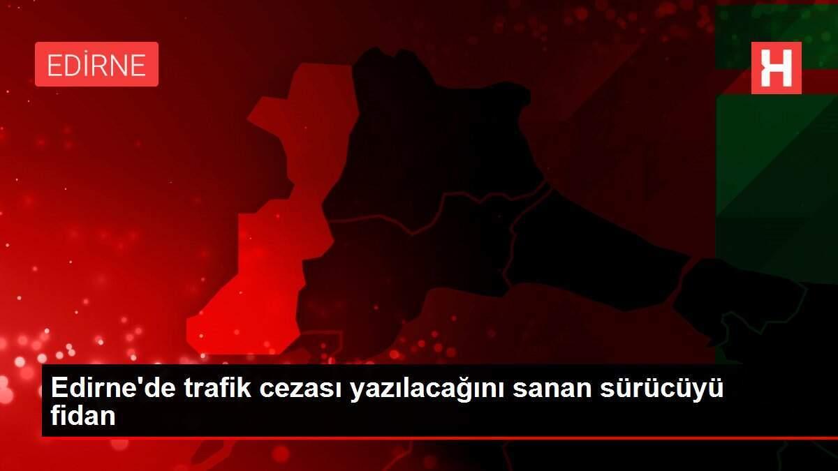 Edirne'de trafik cezası yazılacağını sanan sürücüyü fidan