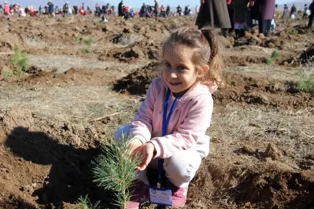 Erzurum'da 12 bin fidan toprakla buluştu Erzurum'da 12 bin fidan toprakla buluştu