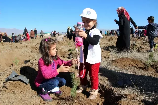Erzurum'da 12 bin fidan toprakla buluştu Erzurum'da 12 bin fidan toprakla buluştu