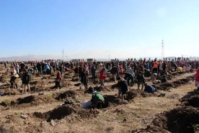 Erzurum'da 12 bin fidan toprakla buluştu Erzurum'da 12 bin fidan toprakla buluştu