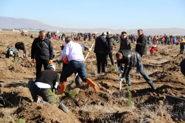 Erzurum'da 12 bin fidan toprakla buluştu Erzurum'da 12 bin fidan toprakla buluştu