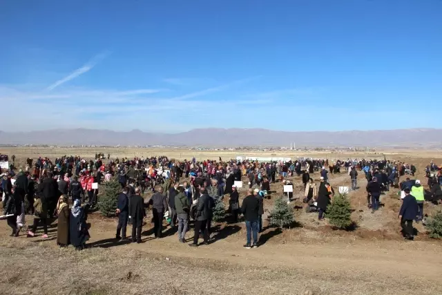 Erzurum'da 12 bin fidan toprakla buluştu Erzurum'da 12 bin fidan toprakla buluştu
