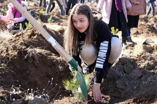 Erzurum'da 12 bin fidan toprakla buluştu Erzurum'da 12 bin fidan toprakla buluştu
