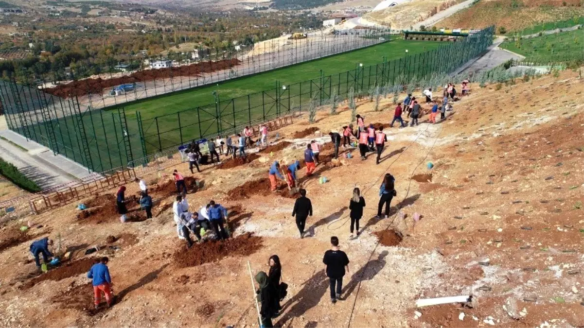 HKÜ'de fidanlar toprakla buluştu