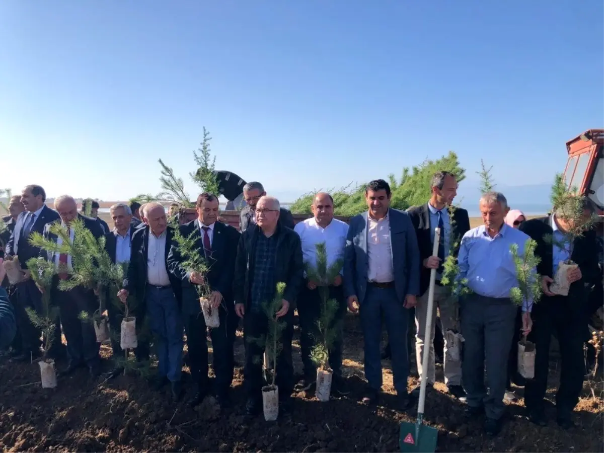 İstanbullu muhtarlar Hüyük'te fidan dikti