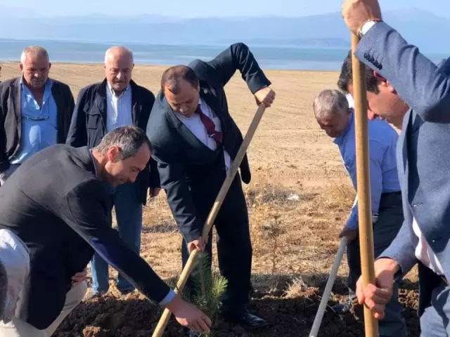 İstanbullu muhtarlar Hüyük'te fidan dikti