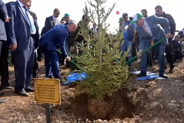 Kahramanmaraş'ta 222 bin fidan toprakla buluştu Kahramanmaraş'ta 222 bin fidan toprakla buluştu