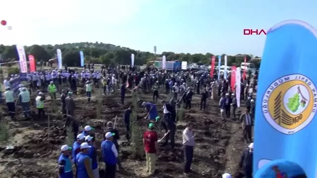 Kahramanmaraş'ta 222 bin fidan toprakla buluştu Kahramanmaraş'ta 222 bin fidan toprakla buluştu