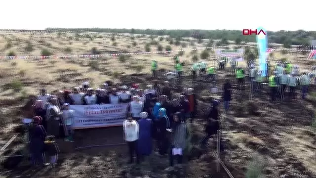 Kahramanmaraş'ta 222 bin fidan toprakla buluştu Kahramanmaraş'ta 222 bin fidan toprakla buluştu