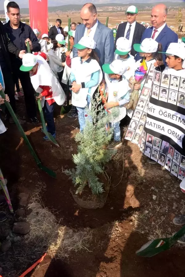 Kahramanmaraş'ta 222 bin fidan toprakla buluştu Kahramanmaraş'ta 222 bin fidan toprakla buluştu
