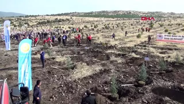 Kahramanmaraş'ta 222 bin fidan toprakla buluştu Kahramanmaraş'ta 222 bin fidan toprakla buluştu