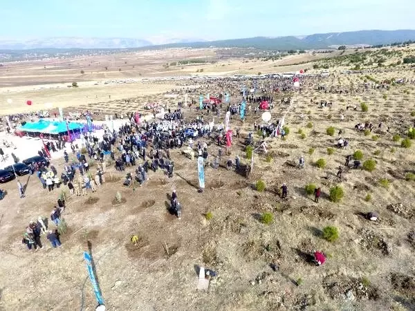 Kahramanmaraş'ta 222 bin fidan toprakla buluştu Kahramanmaraş'ta 222 bin fidan toprakla buluştu