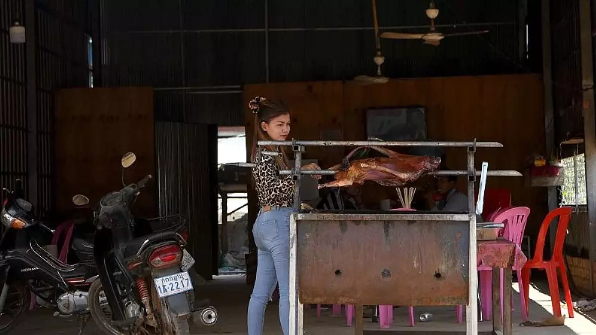 Kamboçya'da köpek eti ticareti: 'Seni öldürmezsem, ailemi besleyemem'