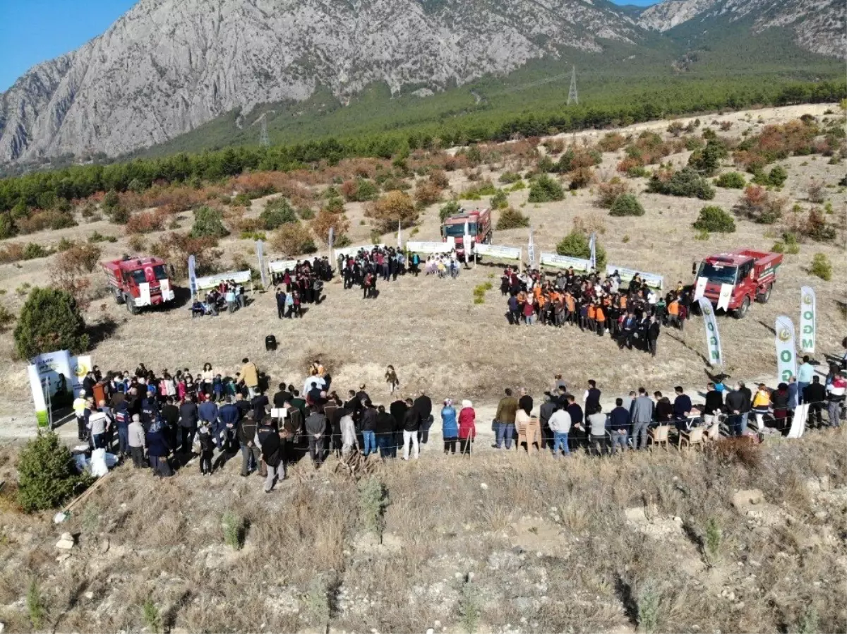 Kargı'da bin 111 fidan toprakla buluştu