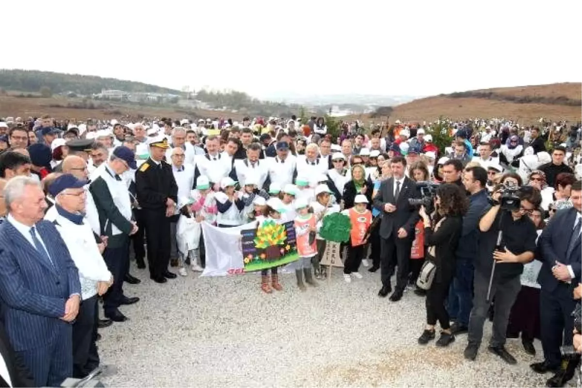 Kocaeli'de 63 bin fidan dikildi